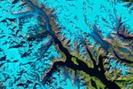 Where Ice Still Flows into Glacier Bay