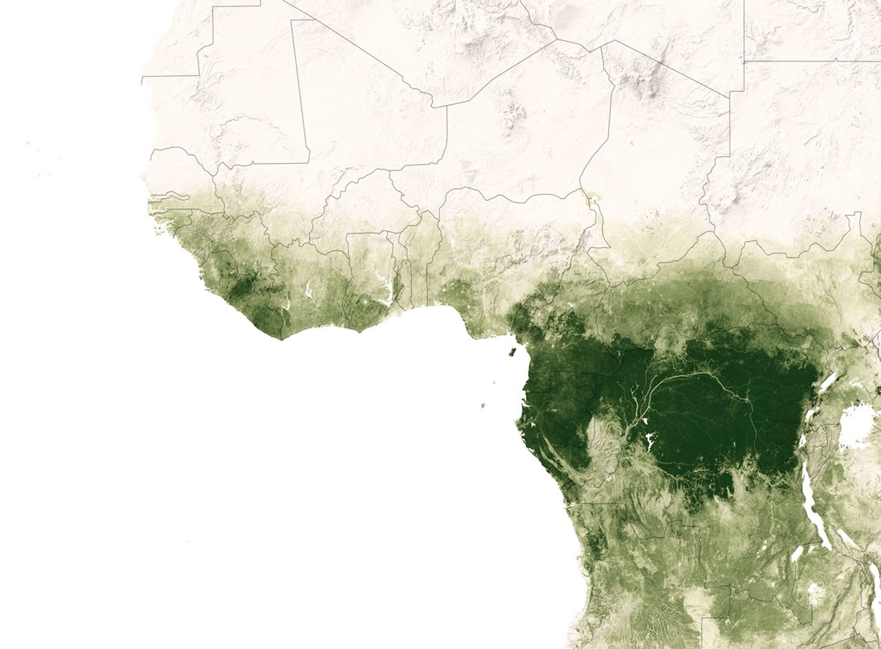 Counting Trees in Africa’s Drylands - related image preview