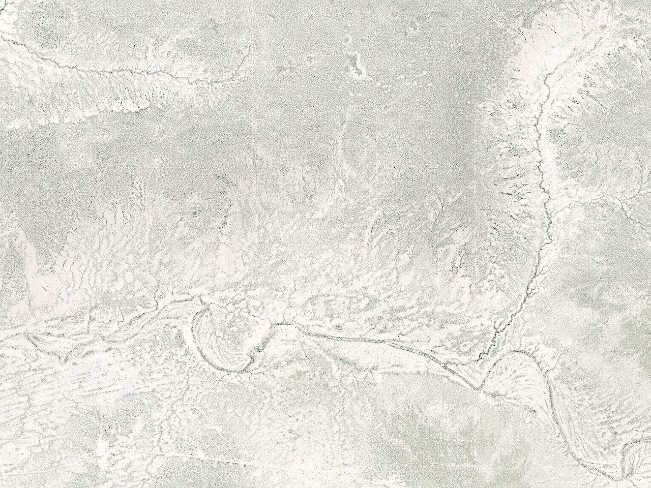 Counting Trees in Africa’s Drylands - related image preview