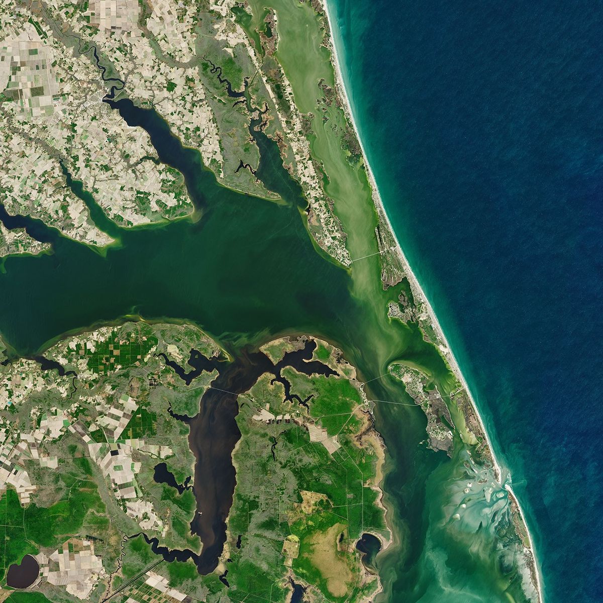 Kitty Hawk and Kill Devil Hills - NASA Science