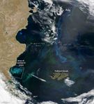 Phytoplankton Factory in the Argentine Sea