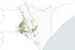 NASA Data Aid Food Security Assessments in Kenya