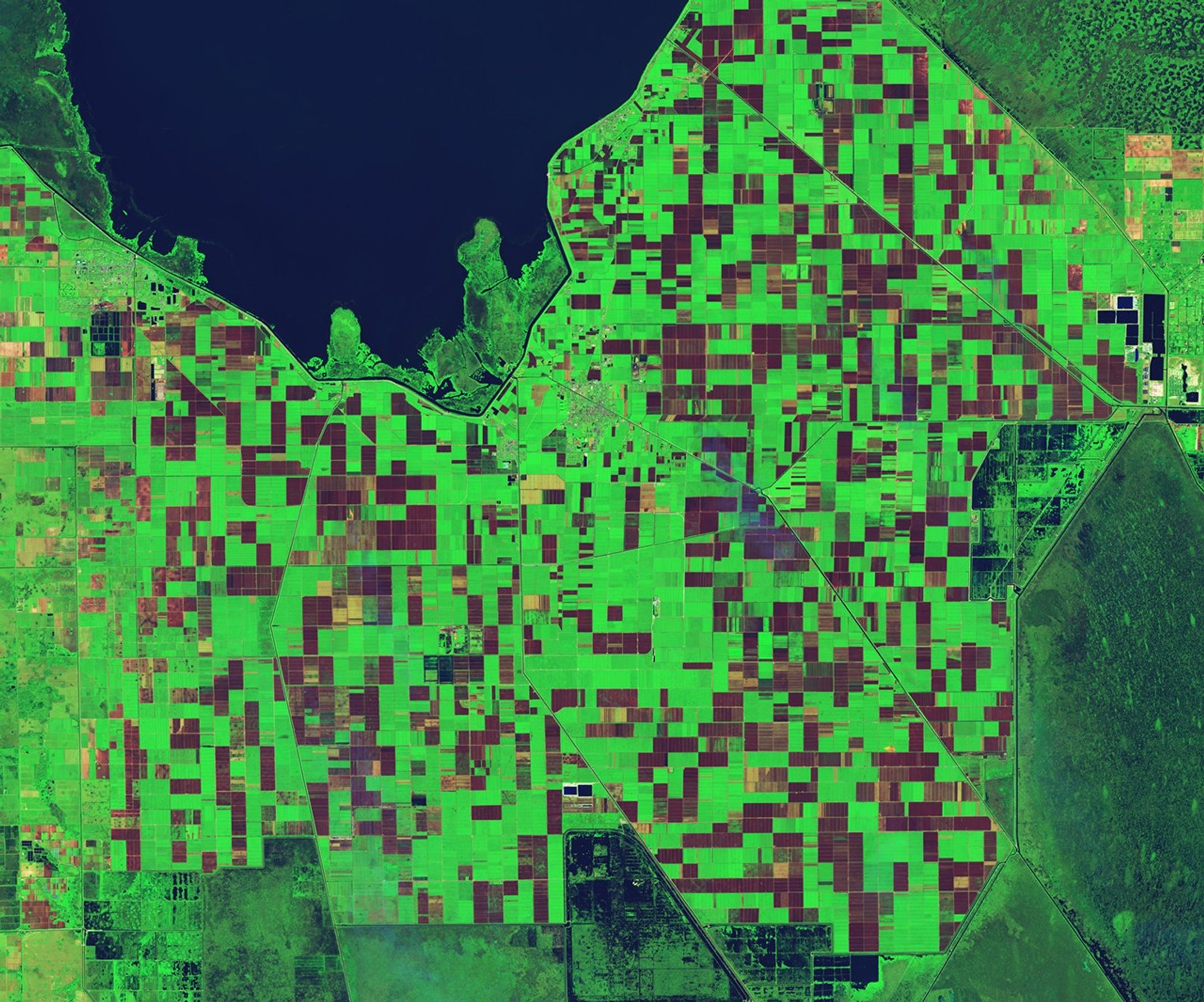Smoking Sugar Fields in South Florida