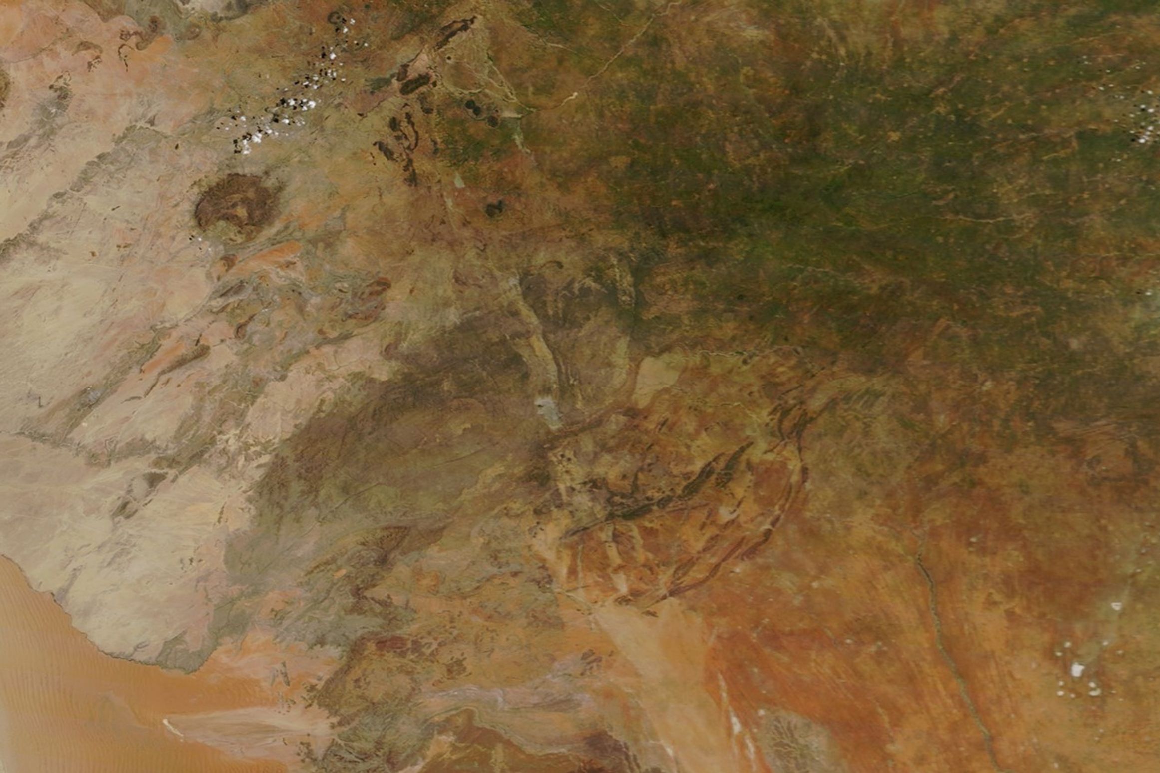 Abundant Rain Turns Namibia Green