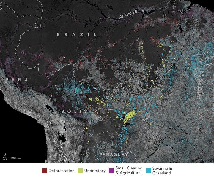 Jungle Fire! 日本再発盤 Uptick in Amazon Fire Activity in 2019 - NASA Science