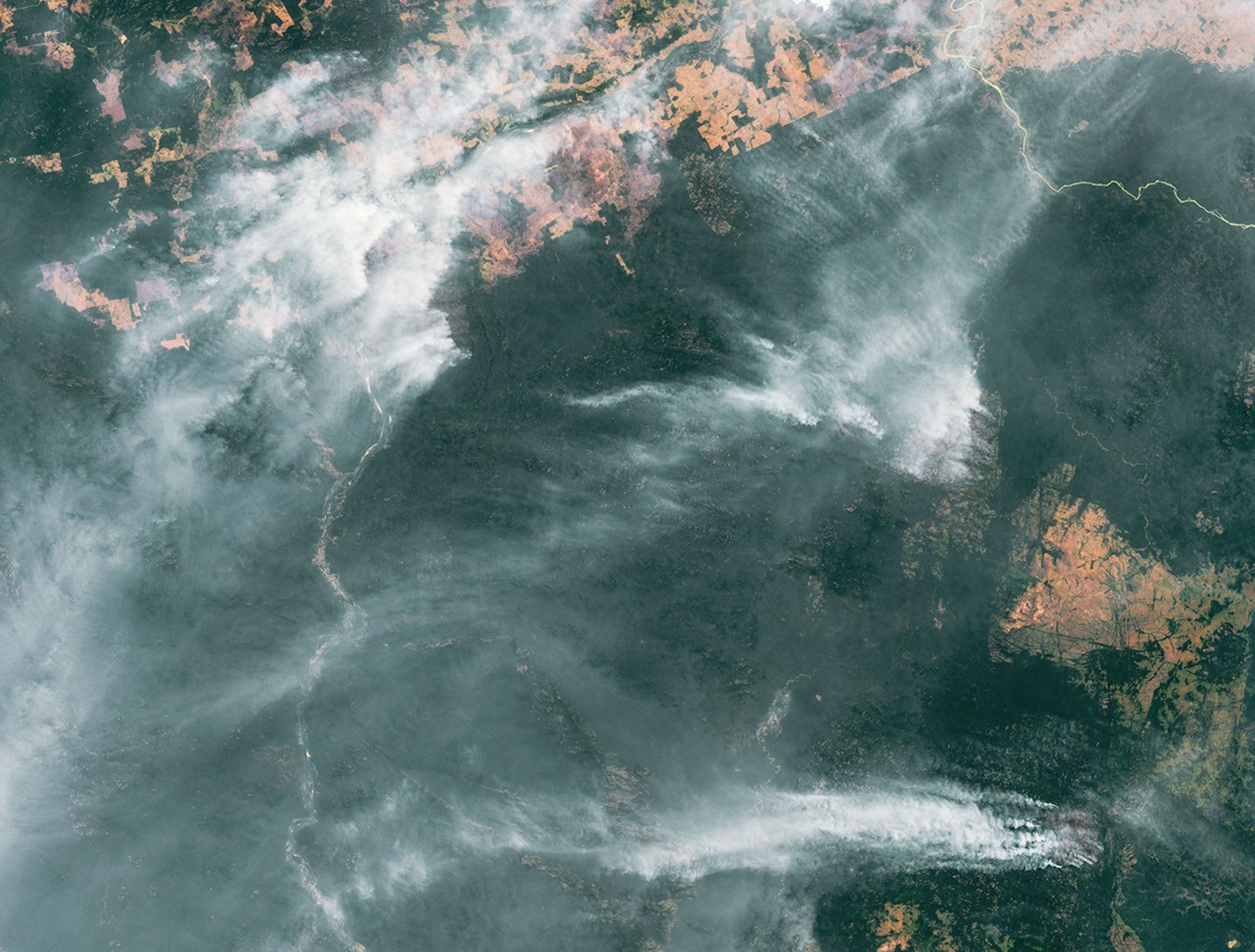 Fires Raged in the Amazon Again in 2020 - related image preview