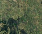 Blue-green Algae at Lake Burrinjuck