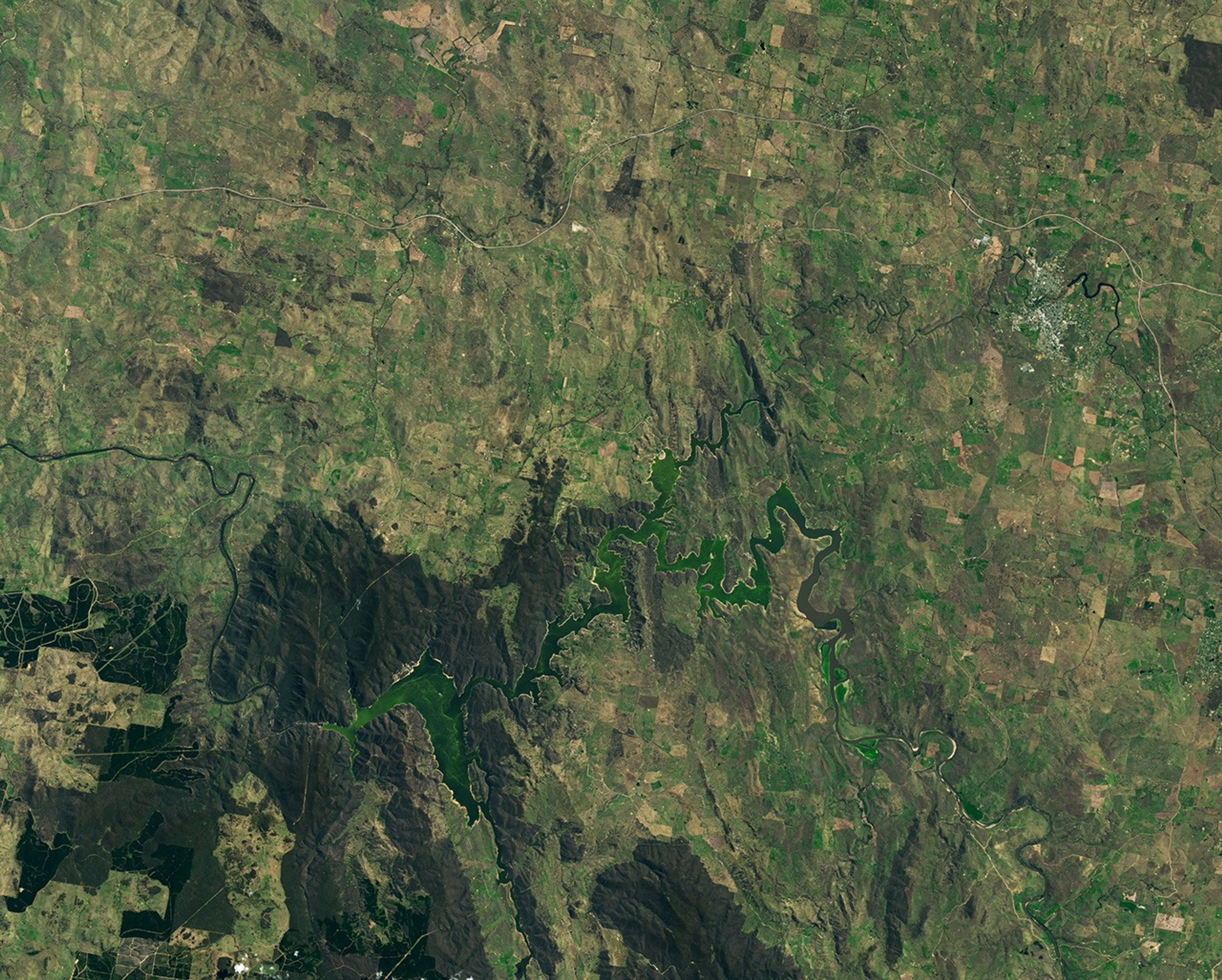 Blue-green Algae at Lake Burrinjuck