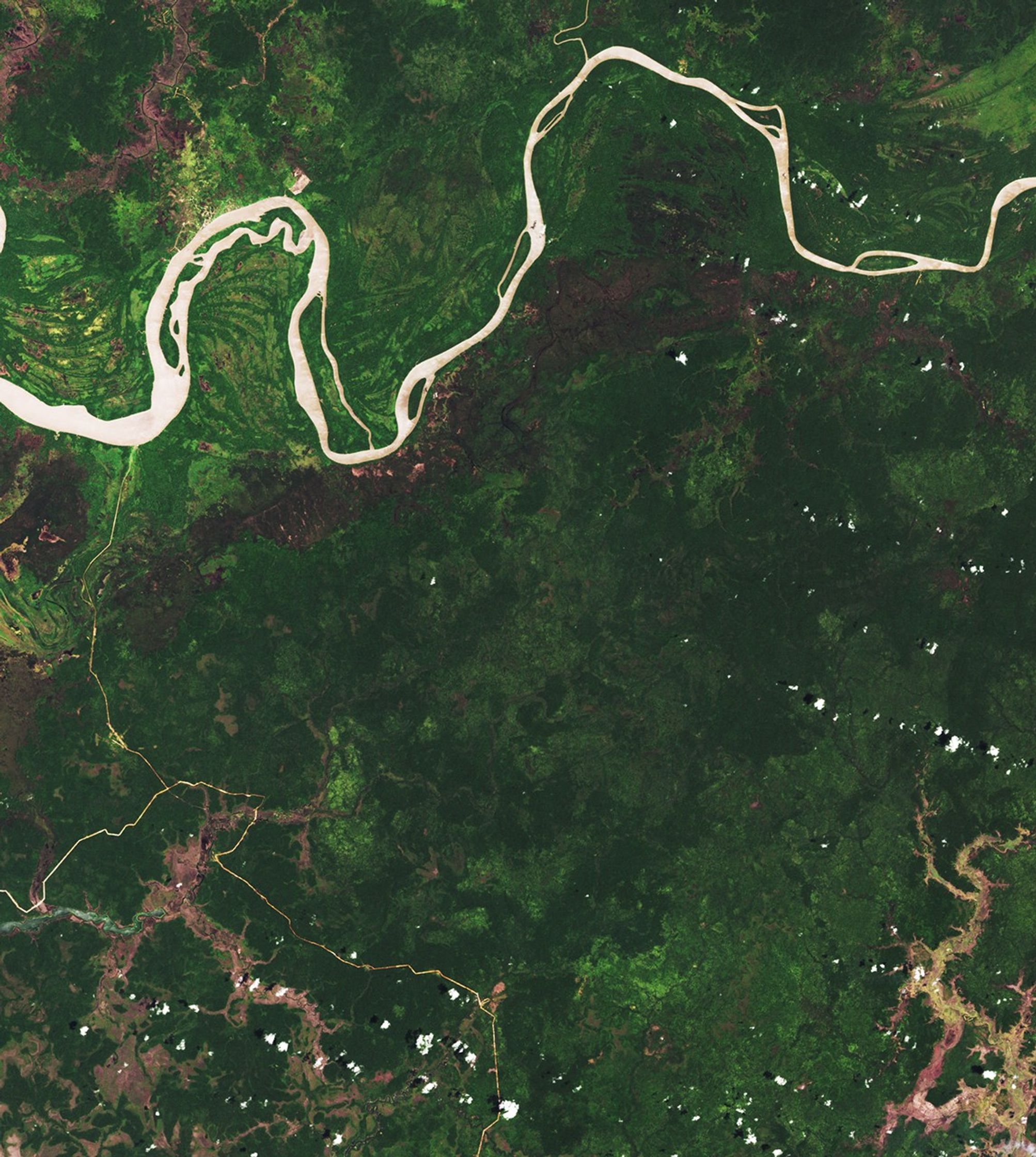 Deforestation in Papua