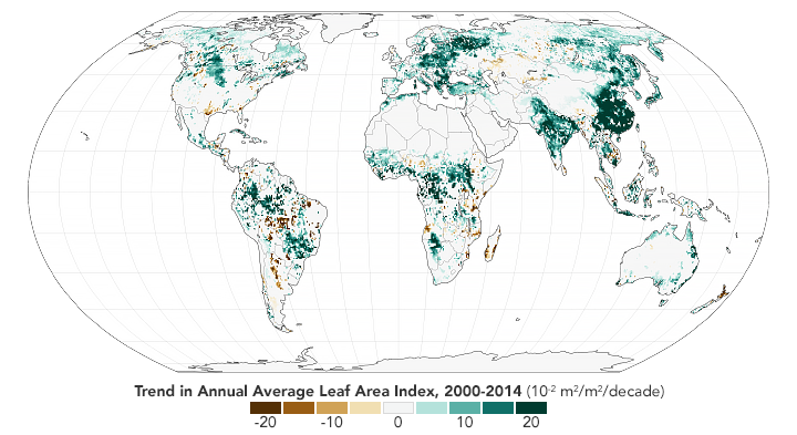 Leaf Area Index - 2000 - 2014