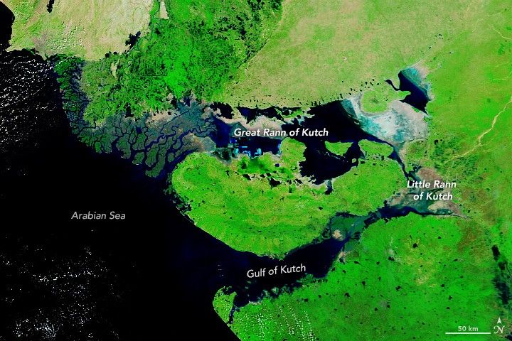 India’s White Desert