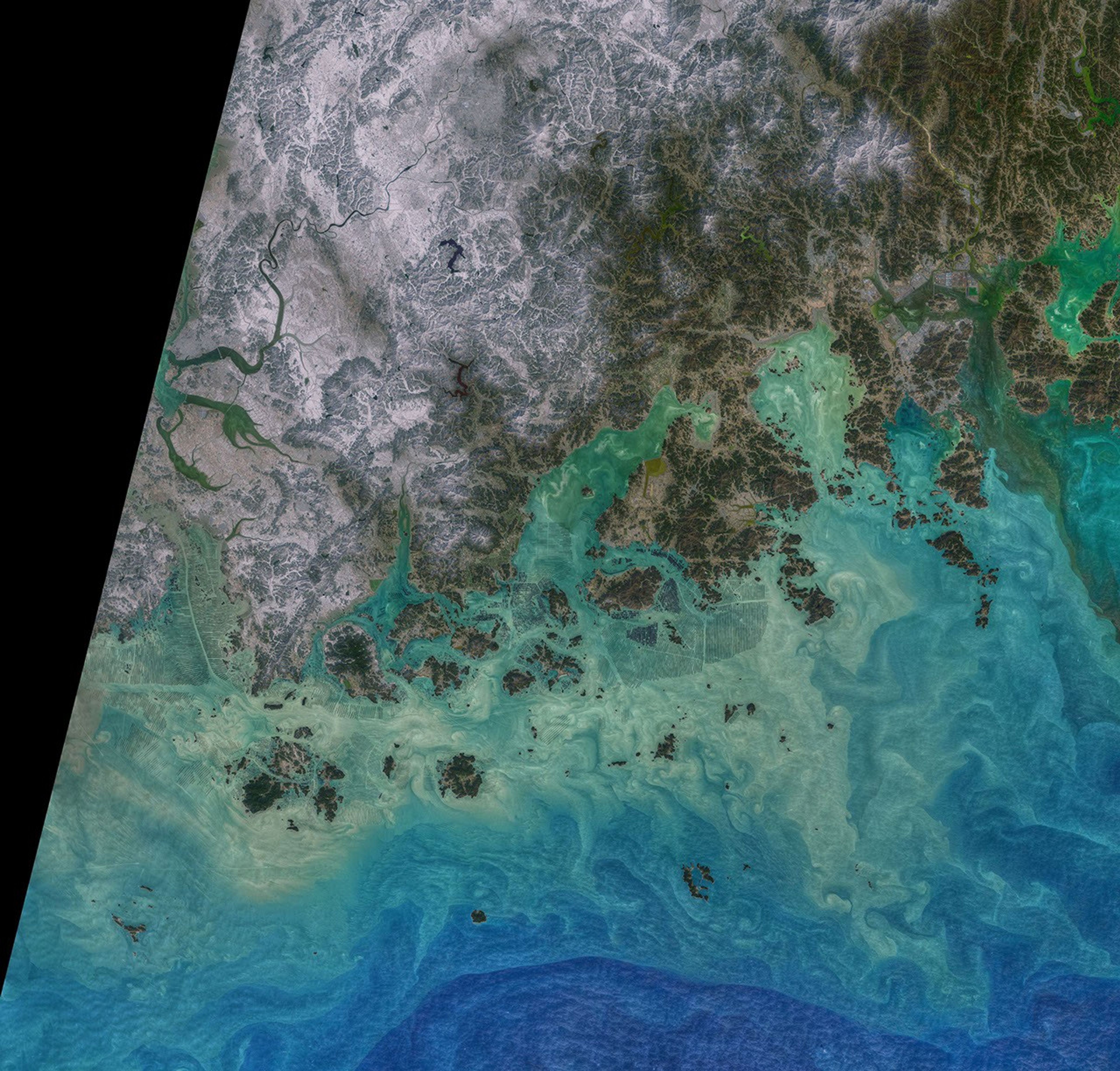 Green Harvest in South Korean Waters