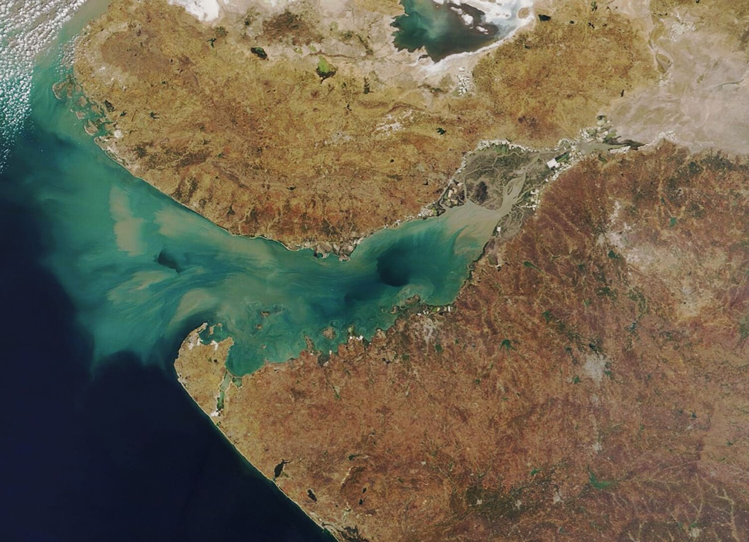 Kutch’s Coral Reefs