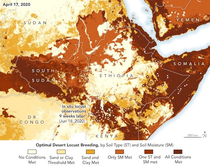Soil Data Aids Prediction of Locust Swarms