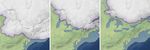 Discovering the Charlotte Whale - related image preview