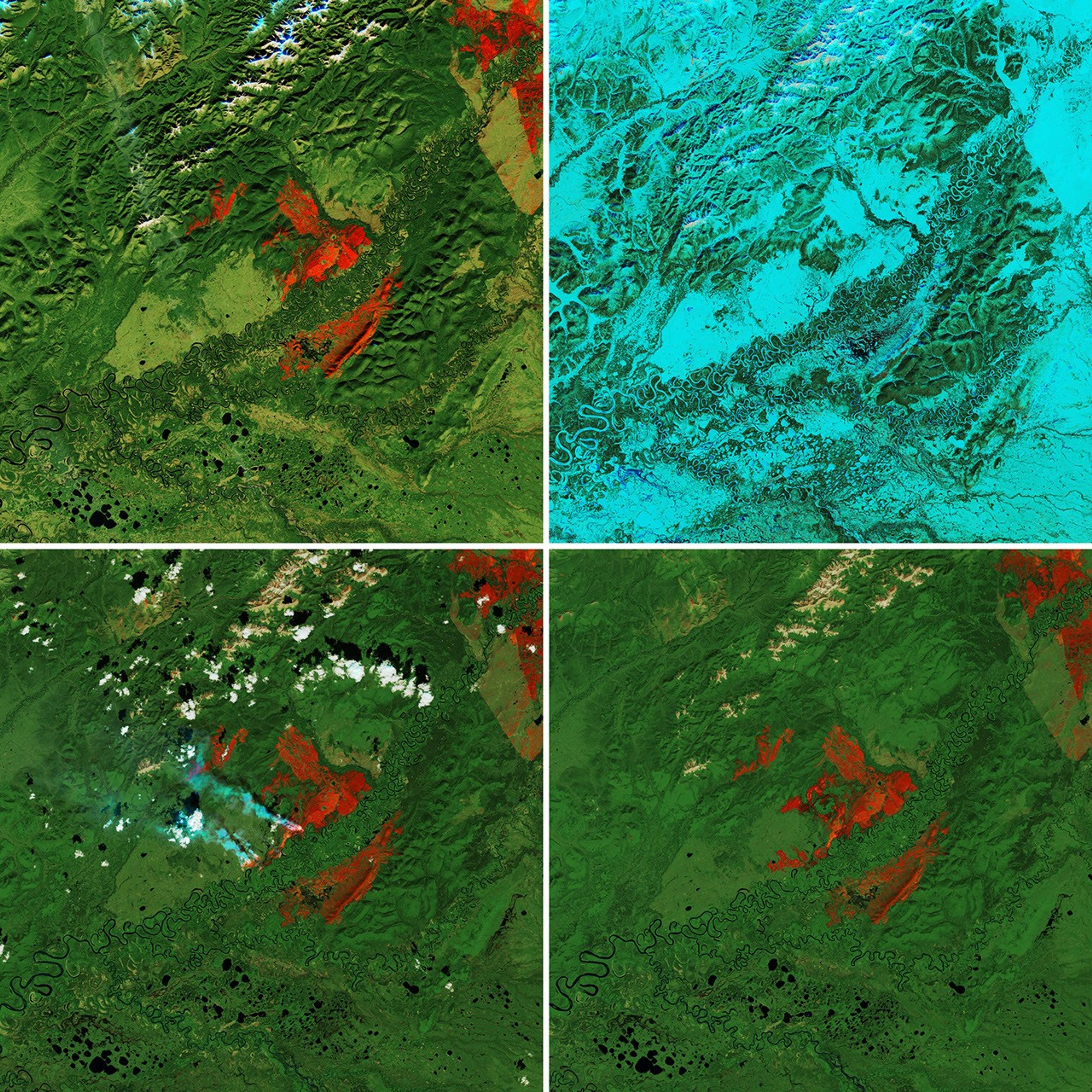 Overwintering Fires on the Rise
