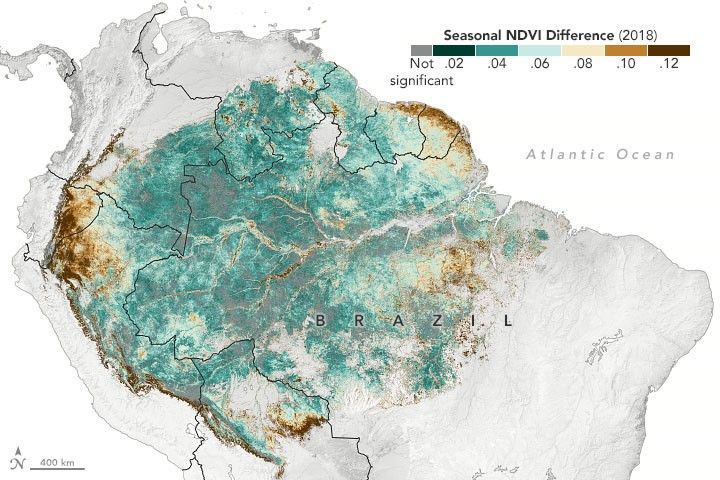Satellite Senses Subtle Amazon Seasonality