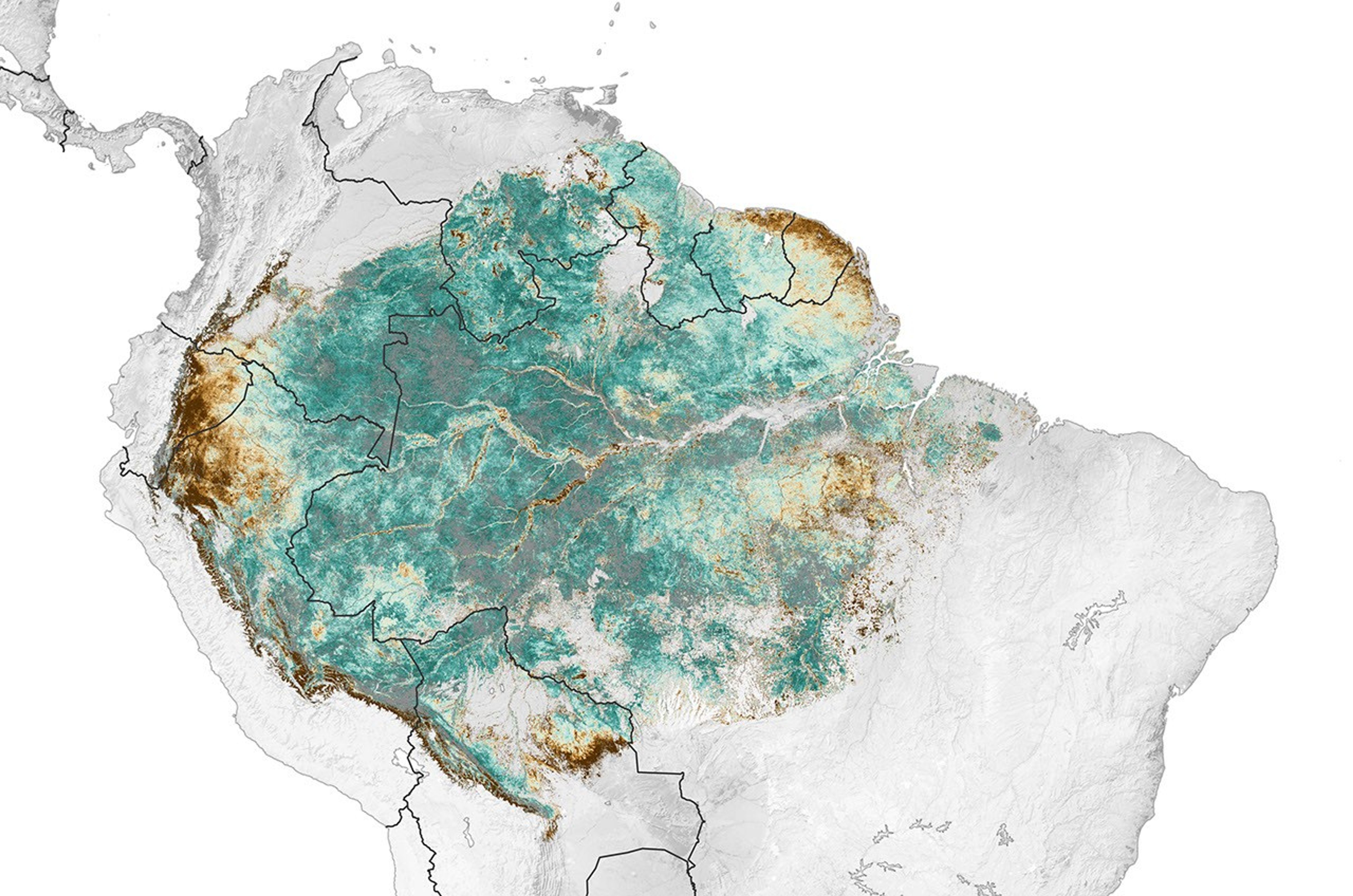 Satellite Senses Subtle Amazon Seasonality