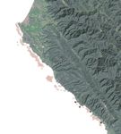 Monitoring the Collapse of Kelp Forests