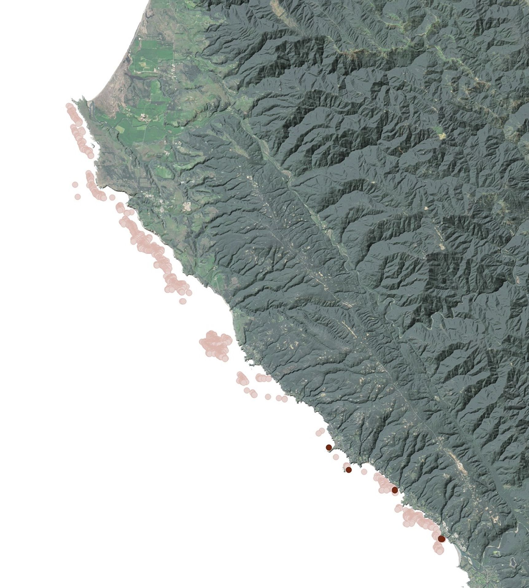 Monitoring the Collapse of Kelp Forests