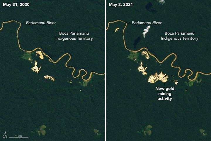 Satellite view of gold mining clearings along the Pariamanu River in Peru, 2021