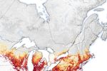 Mapping the Spread of Lyme Disease