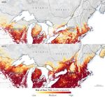 Mapping the Spread of Lyme Disease