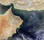 An Upended Ecosystem in the Arabian Sea