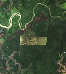 Sizing Up How Agriculture Connects to Deforestation - related image preview