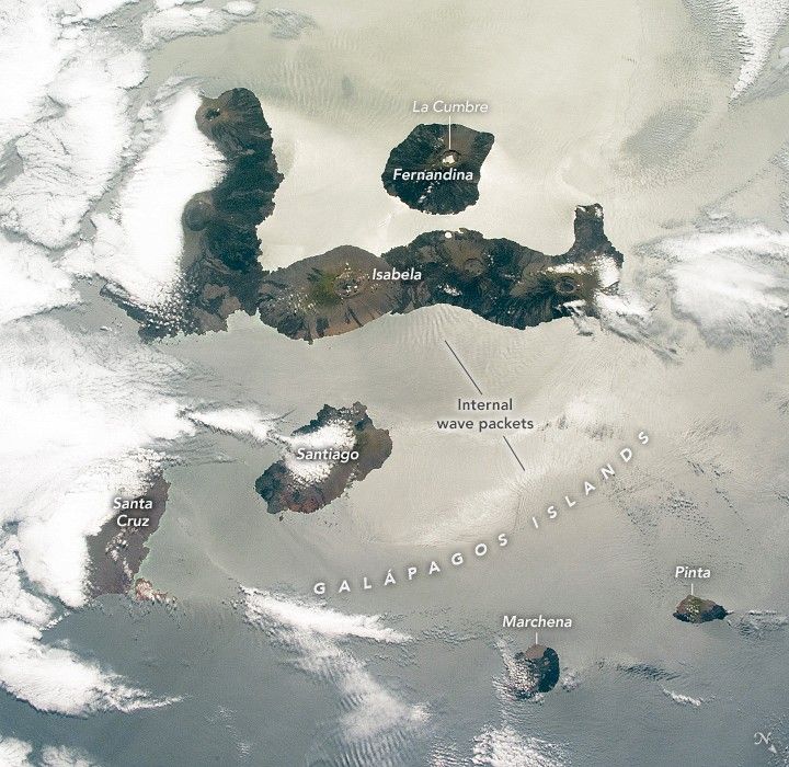 Spotlight on the Galápagos Islands - NASA Science