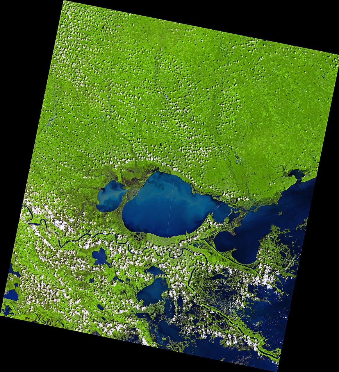 A Changed Landscape in Southern Louisiana