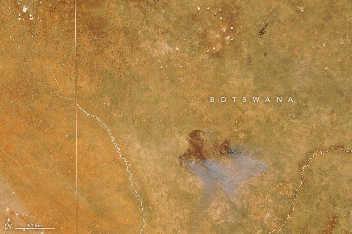 A Fast-Moving Fire in Kgalagadi