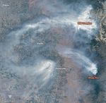Fire Encroaching on Giant Sequoias