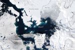 Late Bloomers in the Arctic