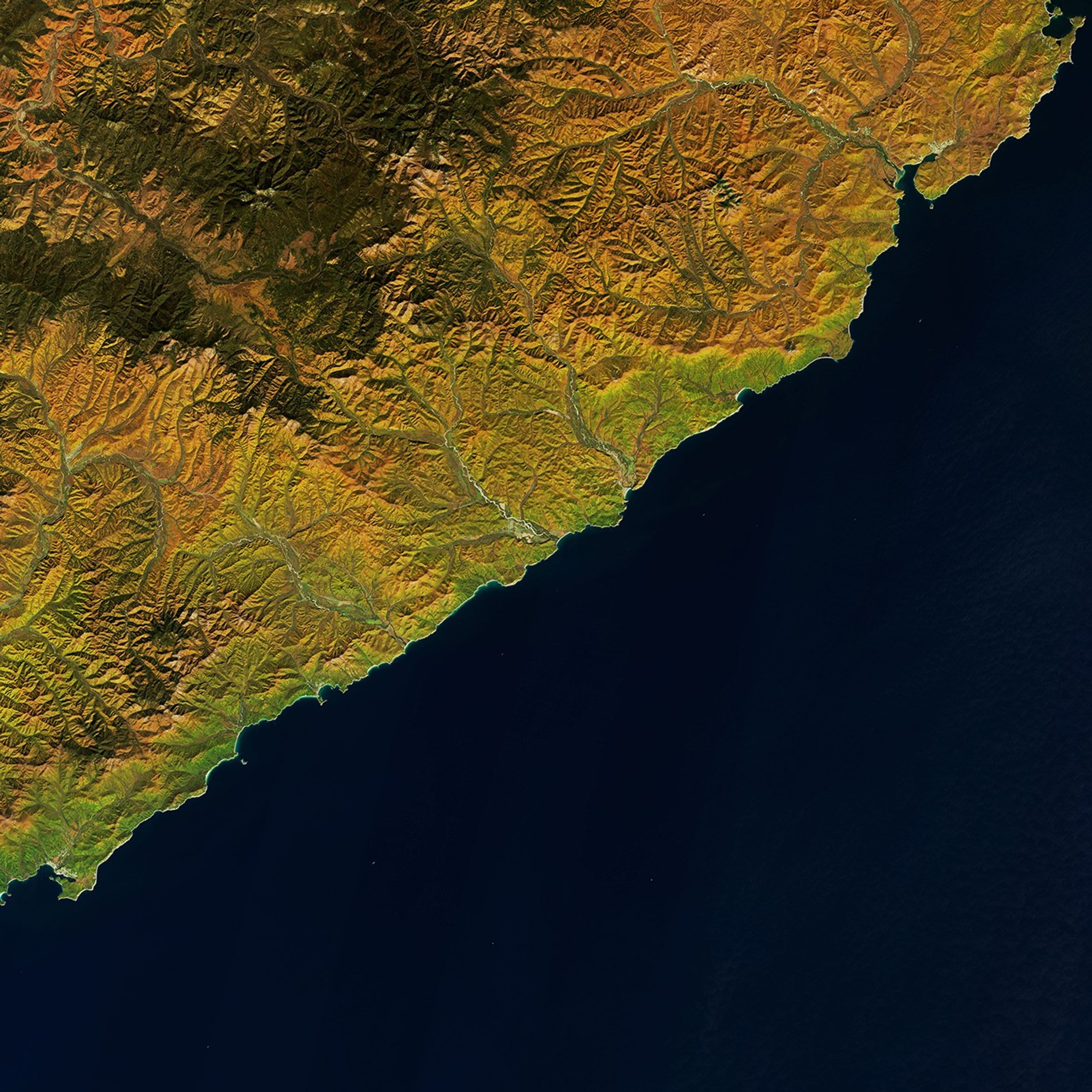 Russia’s Golden Autumn - related image preview