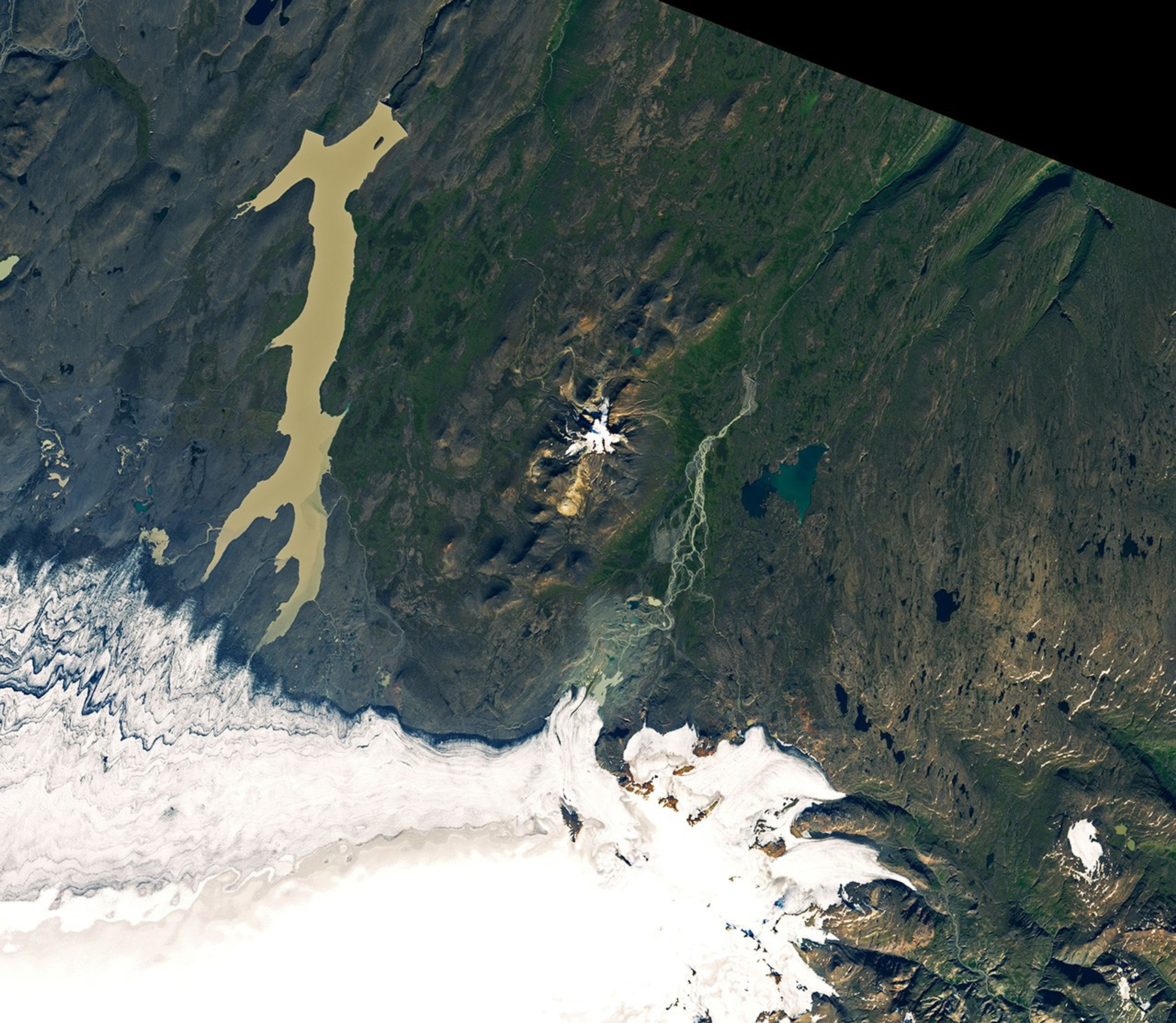 Grazing with Iceland’s Reindeer