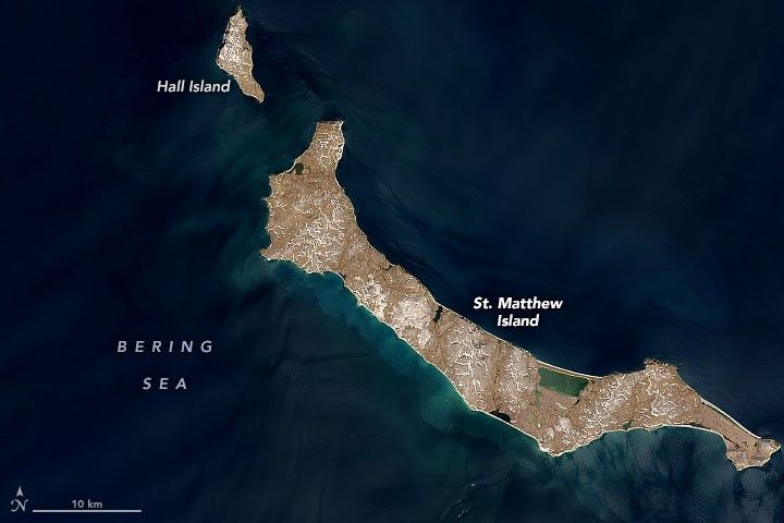 Cold Case File: Death in the Arctic