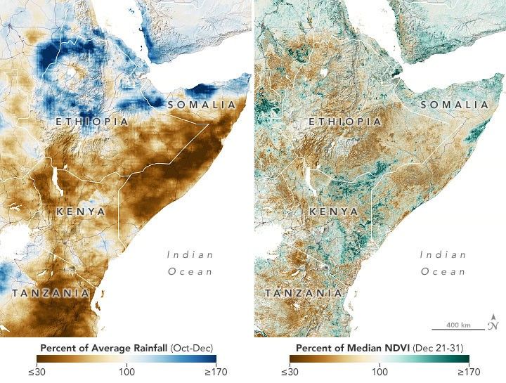 Failed Rainy Seasons Create Food Emergency in Eastern Africa