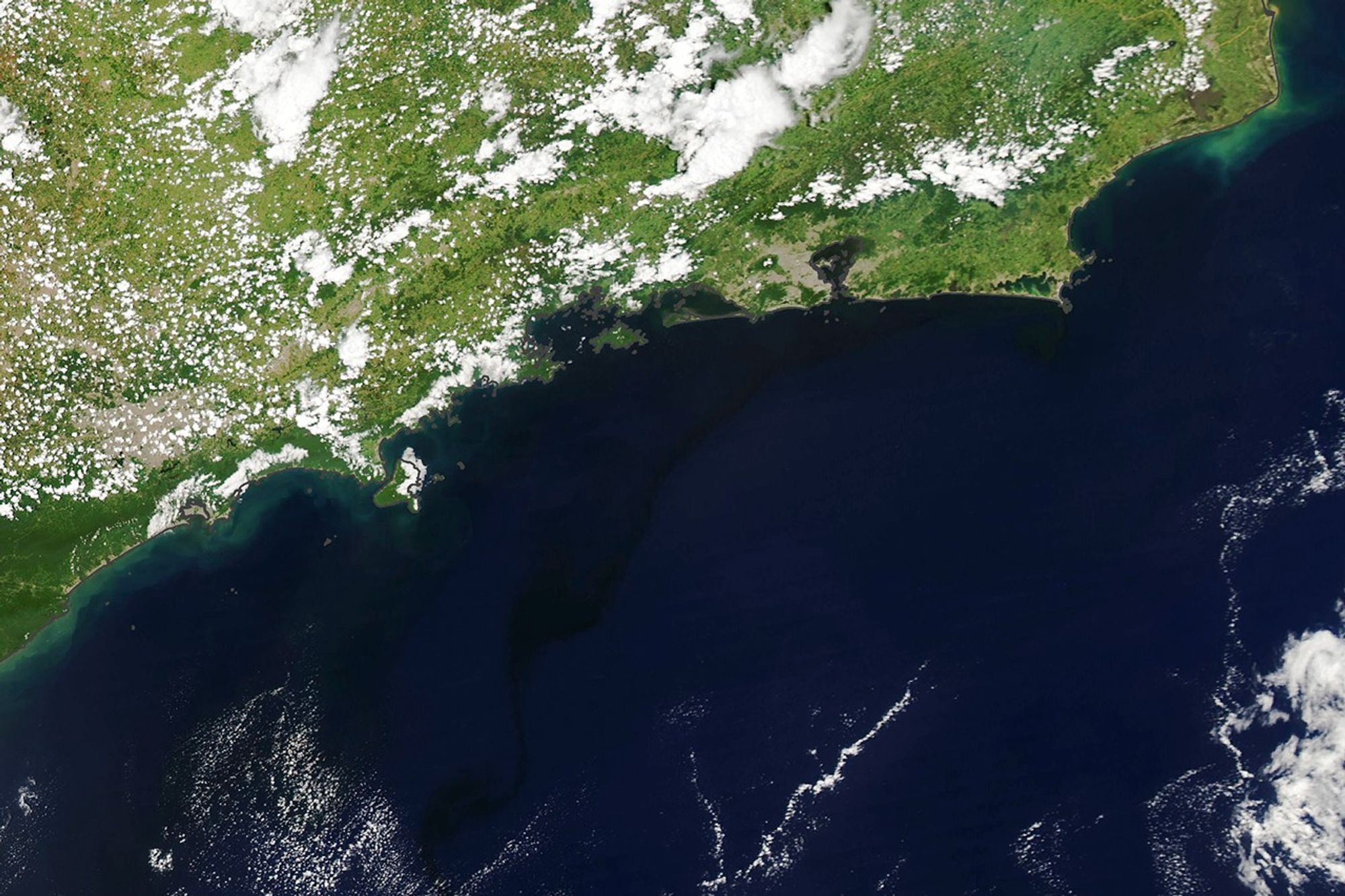 Red Tide off Rio - NASA Science