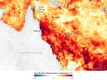 Great Barrier Reef Mass Bleaching Event