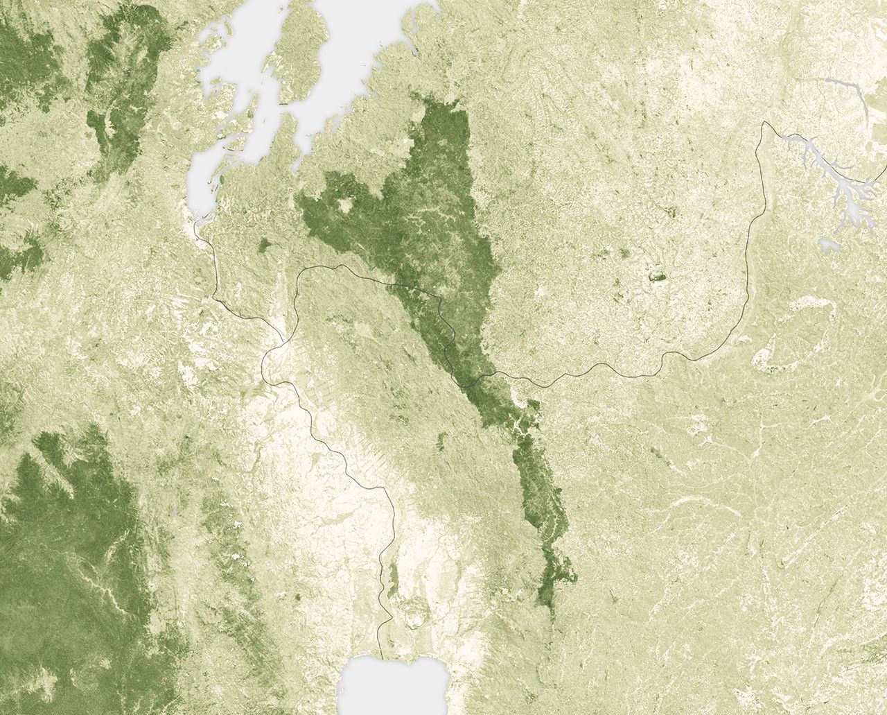 Scientists Show How Forests Measure Up - related image preview