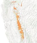 Wild Fluctuations in Sierra Snow