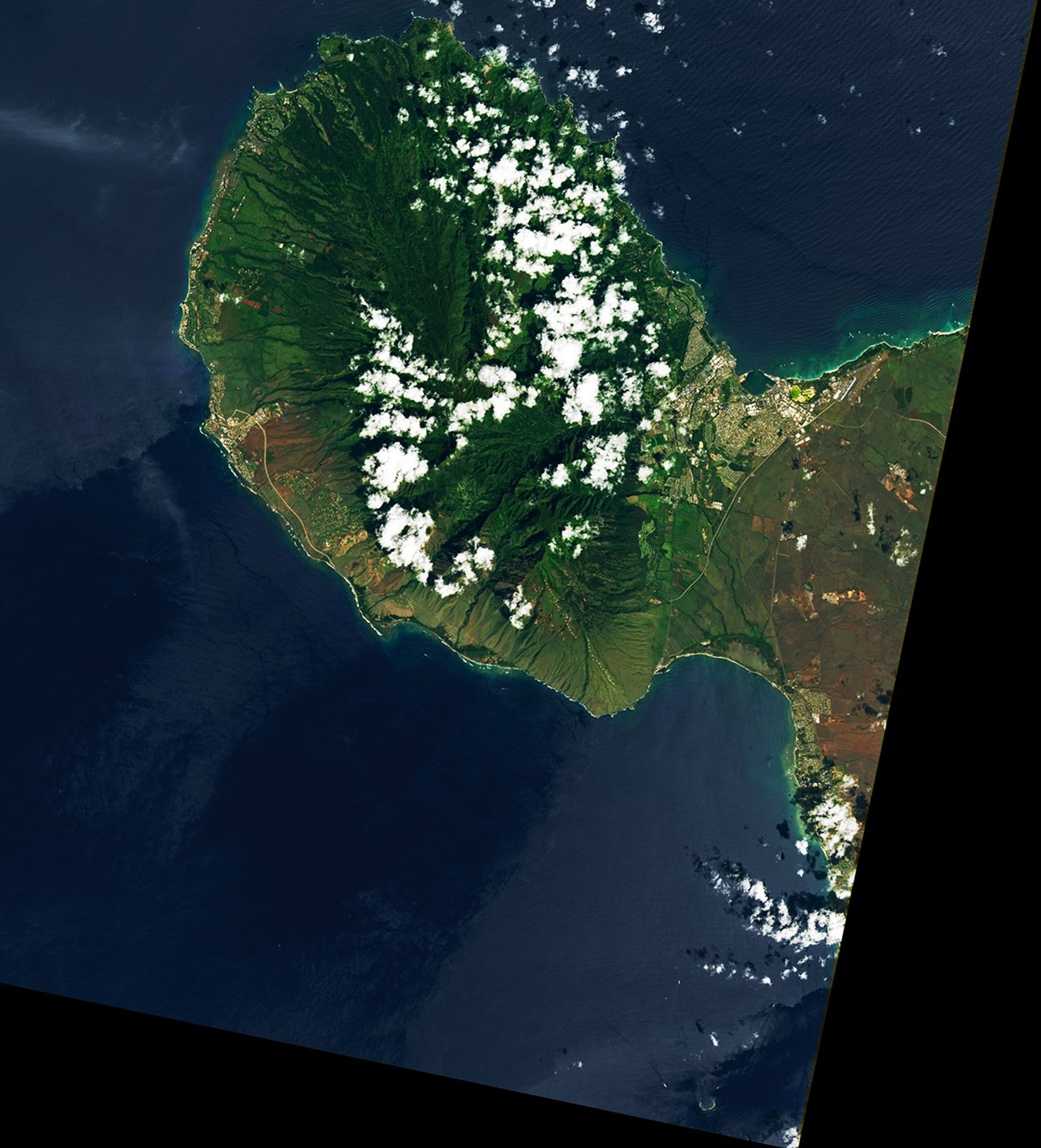 Maui’s Iconic Waves