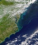 Stirring Up a Mid-Atlantic Bloom