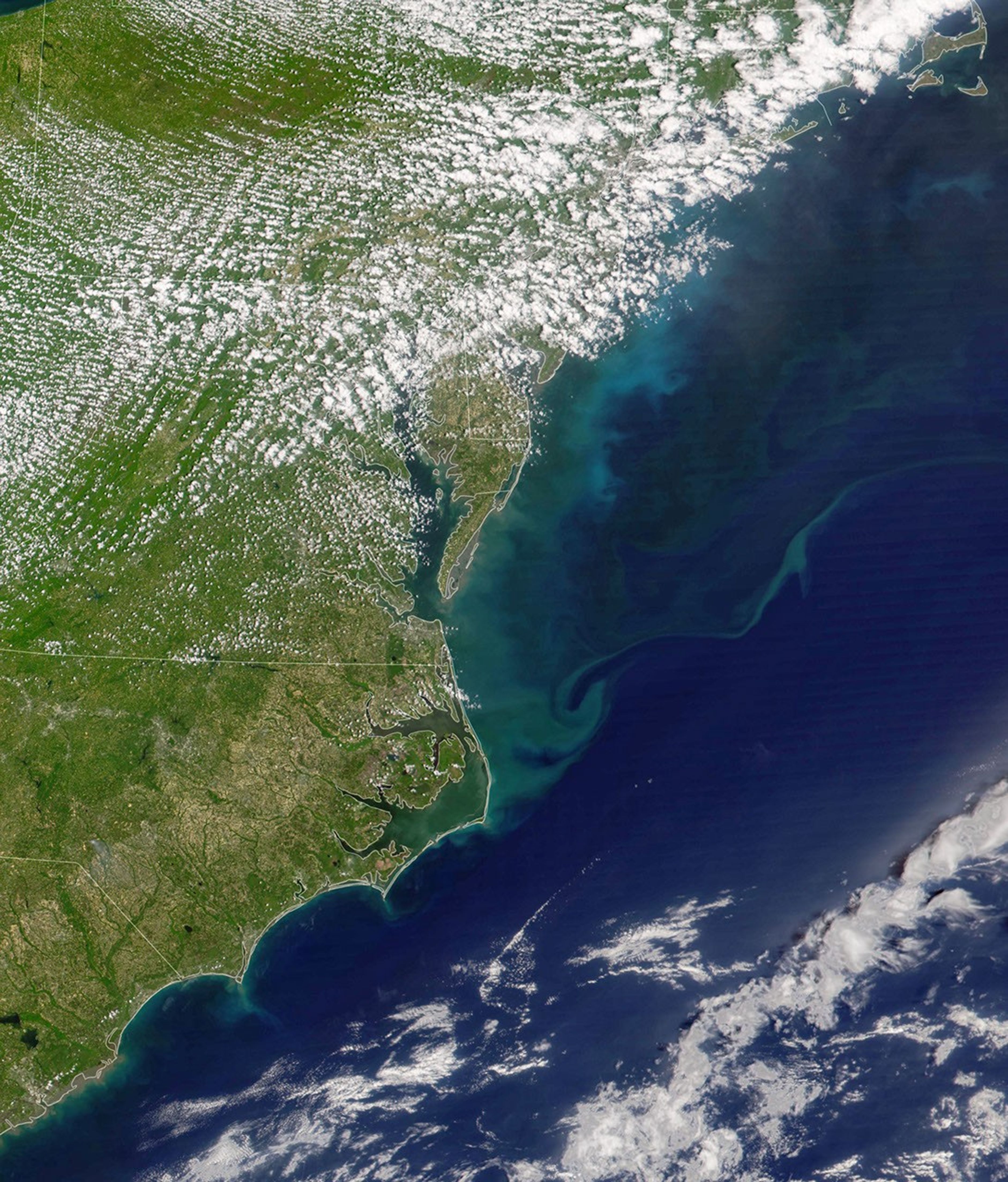 Stirring Up a Mid-Atlantic Bloom