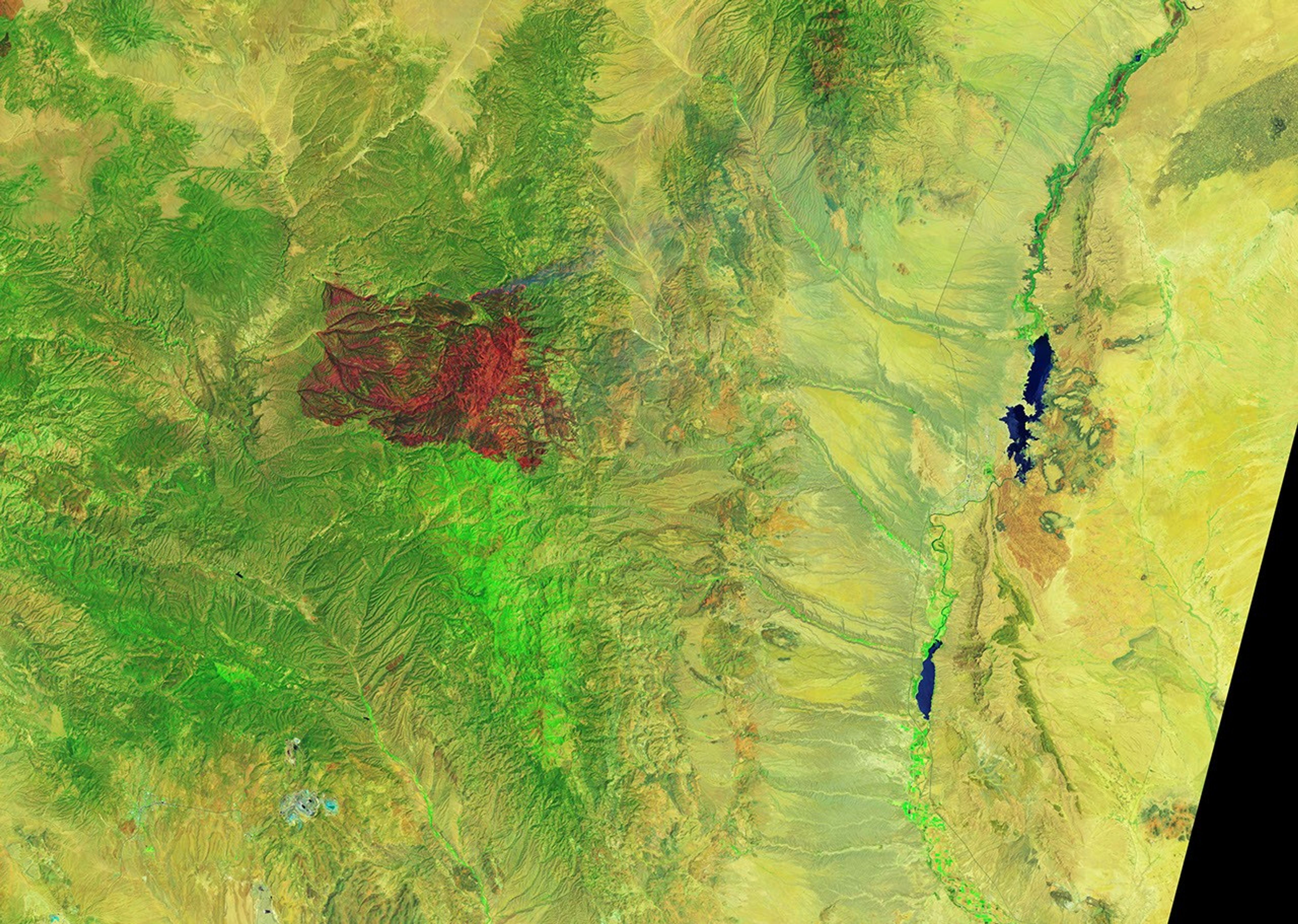 The Black Fire Blows Up in New Mexico