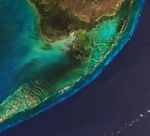 The Changing Seas of the Florida Keys