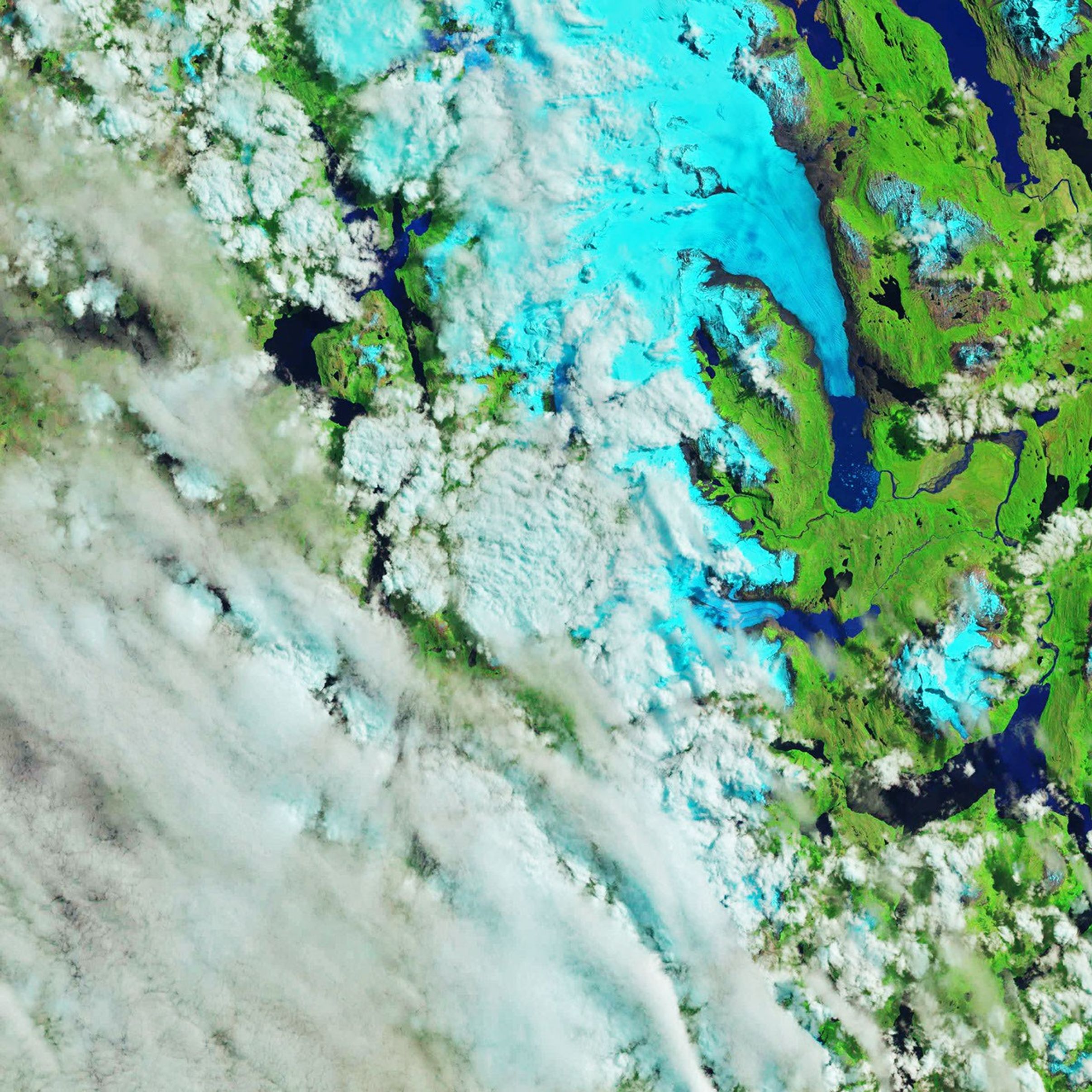 Melting Glacier Exposes Ichthyosaur Fossils