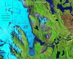 Melting Glacier Exposes Ichthyosaur Fossils