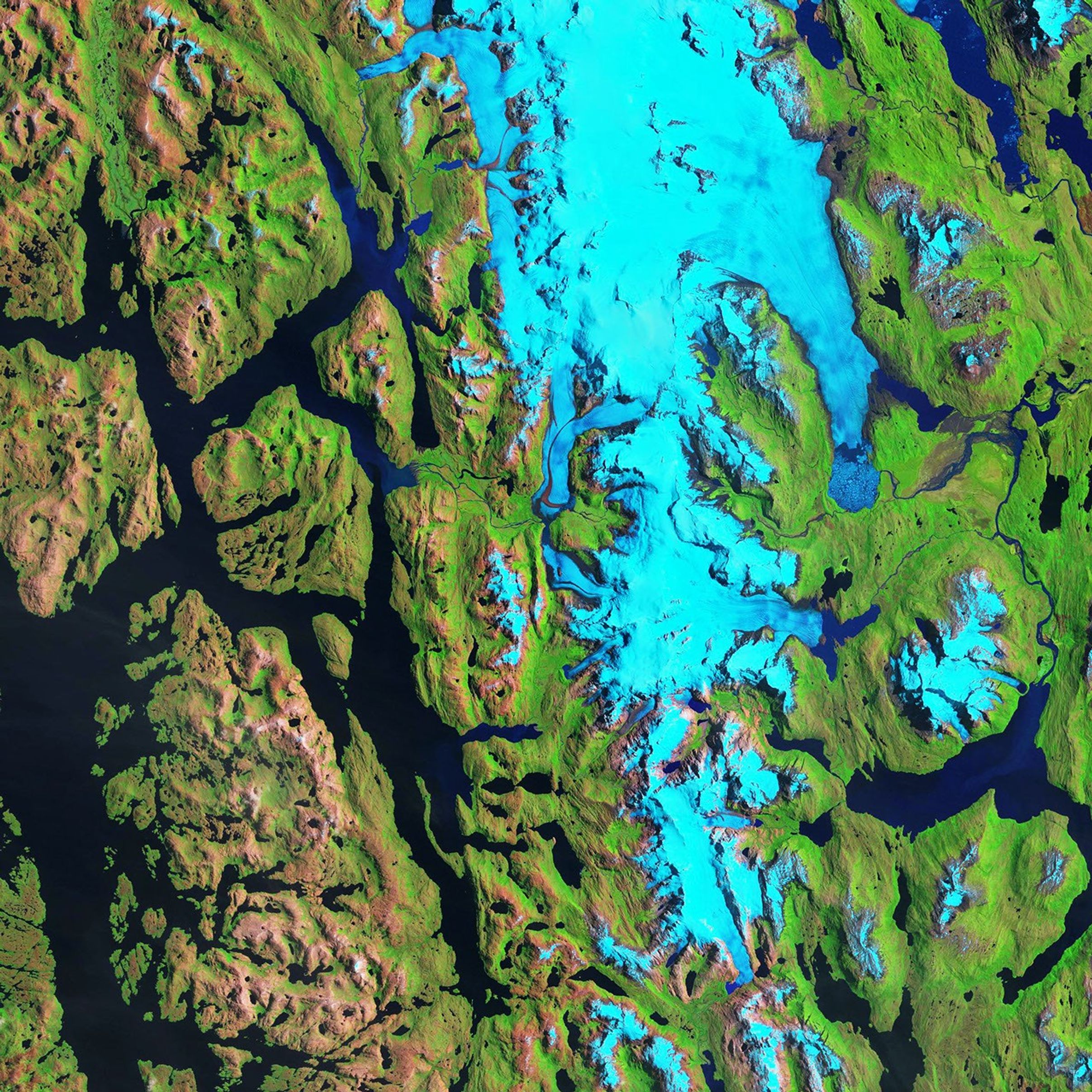 Melting Glacier Exposes Ichthyosaur Fossils